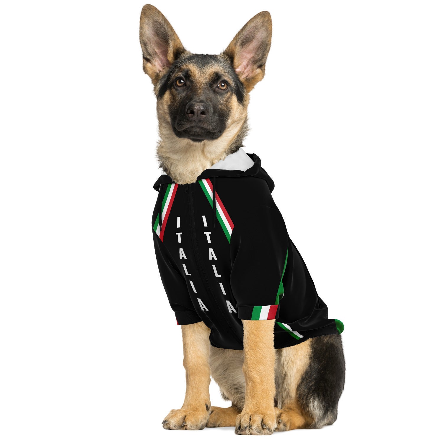 Dog wearing the Dog Hoodie - Italia black, showcasing a comfortable, soft zip-up design with a harness opening and velcro pocket, perfect for active adventures.