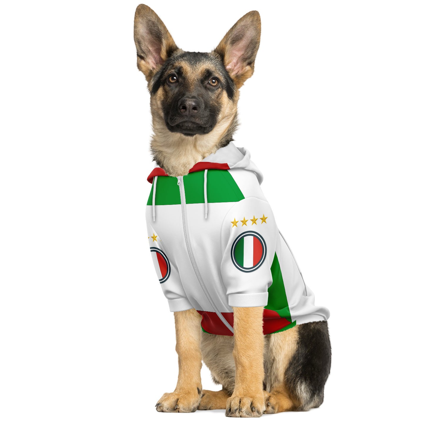 Dog wearing the Italia-themed hoodie, featuring a zip-up front and back pocket, designed for comfort and mobility with harness access.