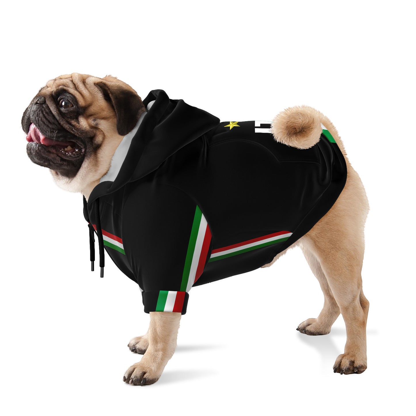 Felpa per cani - Italia black
