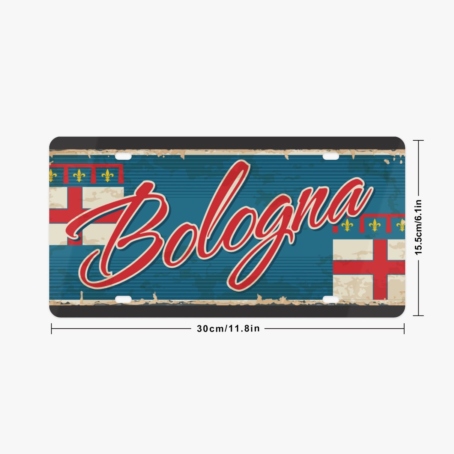 Bologna License Plate Italian Style